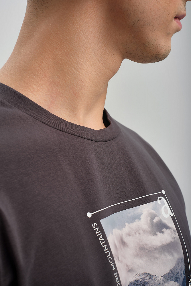 Футболка мужская с принтом David Графит/Пик горы_9433