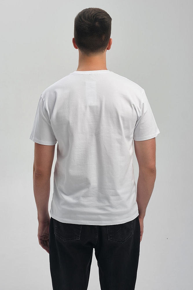 Футболка мужская с принтом Altai man Белый/Туман_16765