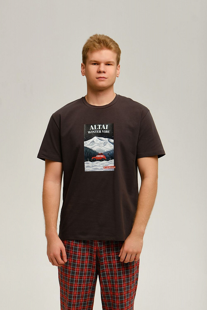 Футболка мужская с принтом David Графит/Altai Winter_12466