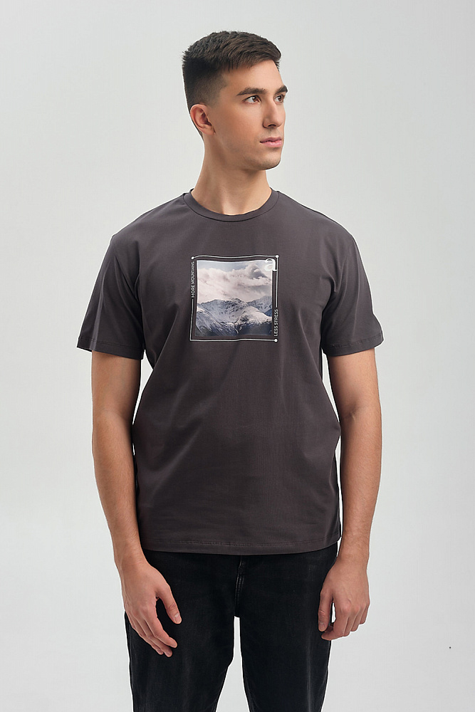 Футболка мужская с принтом David Графит/Пик горы_9430