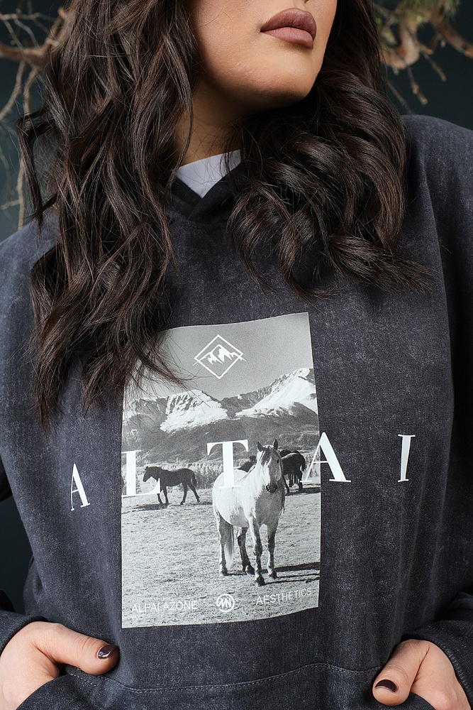 Худи из футера  Altai Серый туман/Кони_18865