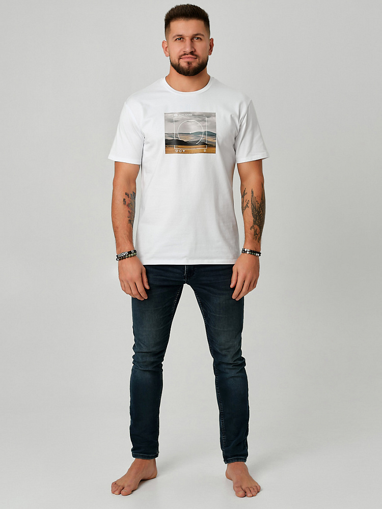 Футболка мужская с принтом David Белый/Степь_9144