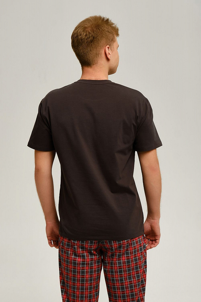 Футболка мужская с принтом David Графит/Altai Winter_12465