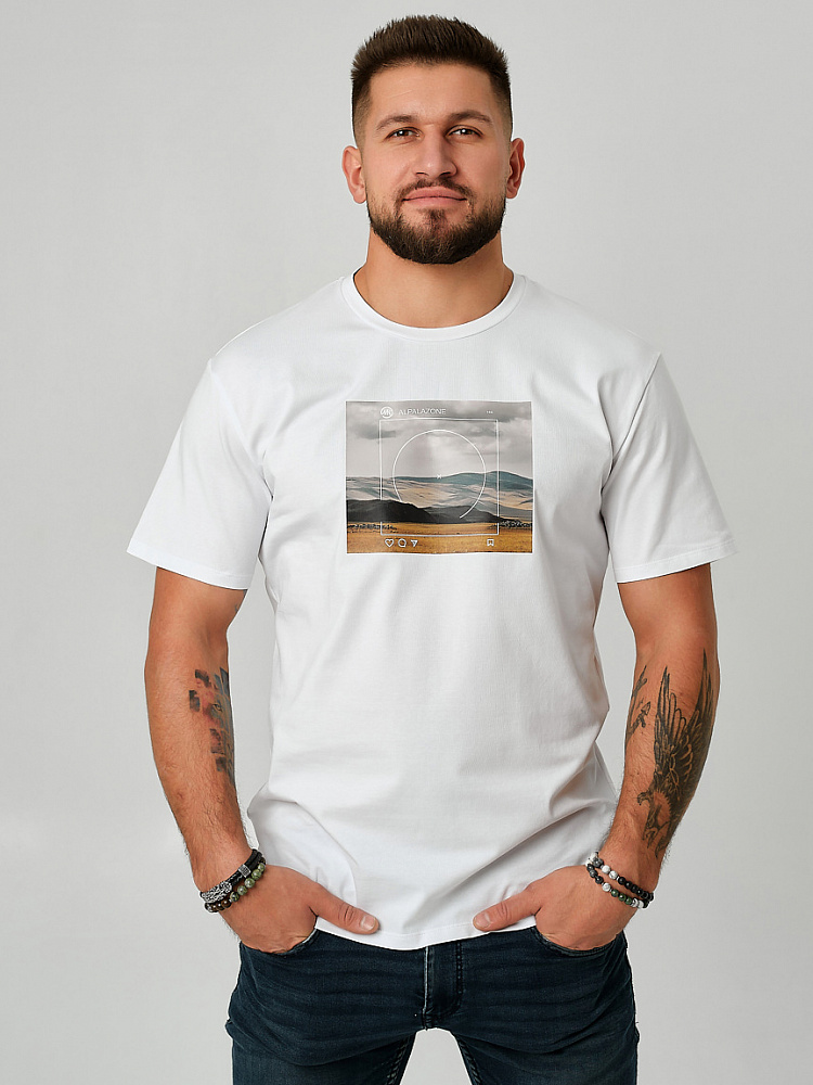 Футболка мужская с принтом David Белый/Степь_9141