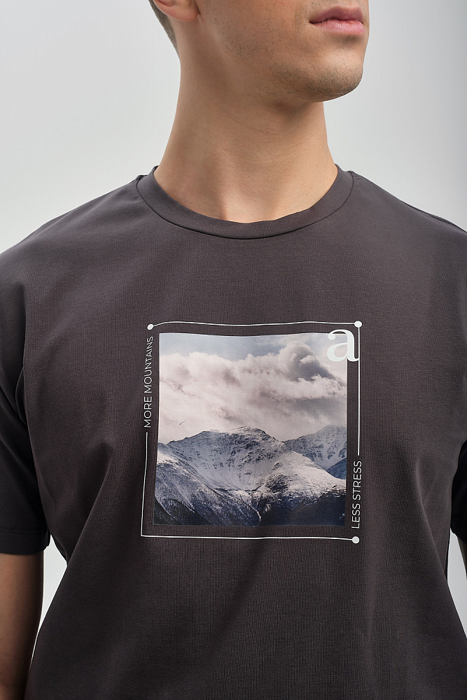 Футболка мужская с принтом David Графит/Пик горы_9431