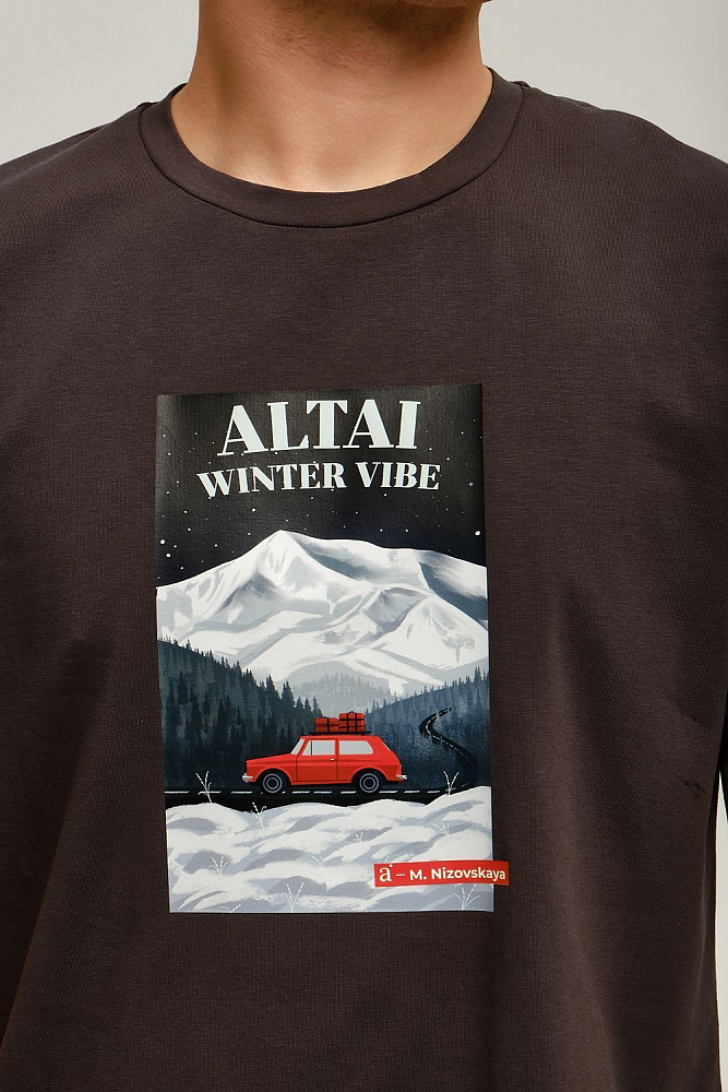 Футболка мужская с принтом David Графит/Altai Winter_12467