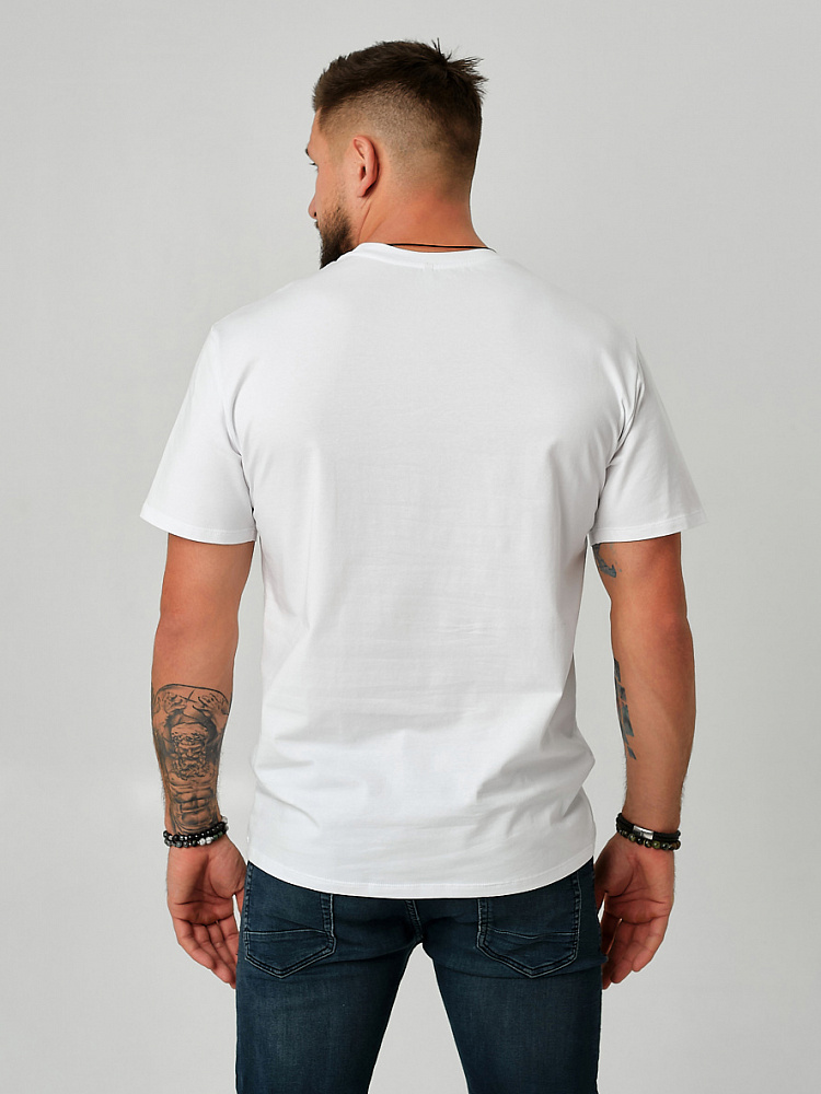 Футболка мужская с принтом David Белый/Степь_9143