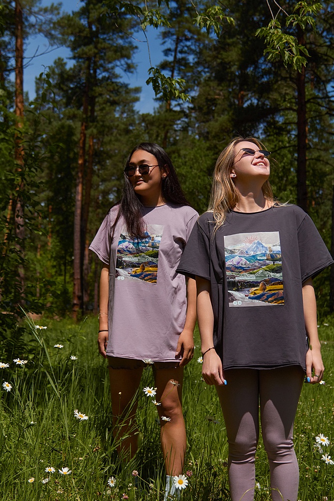 Футболка оверсайз Park Графит/Цветные горы_16525