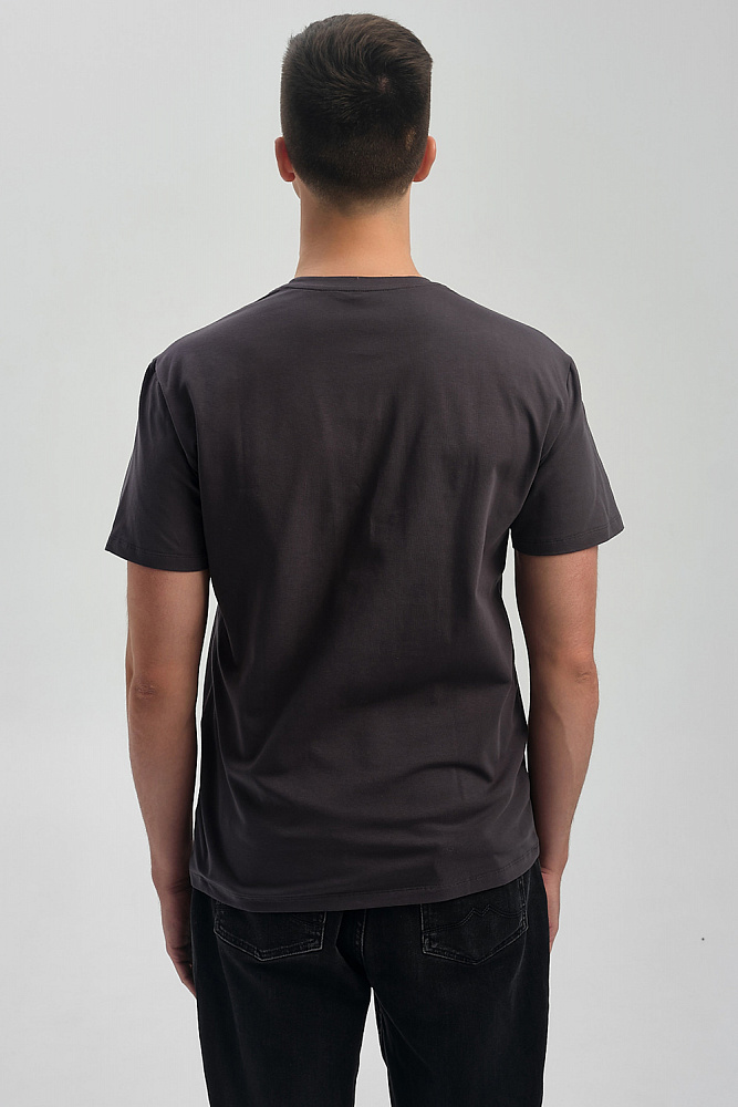 Футболка мужская с принтом David Графит/Осень в горах_9469