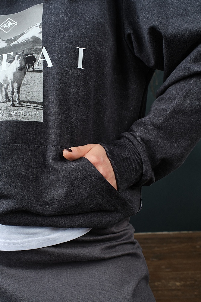 Худи из футера  Altai Серый туман/Кони_18866