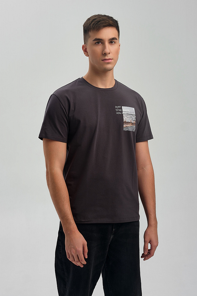 Футболка мужская с принтом David Графит/Осень в горах_9467