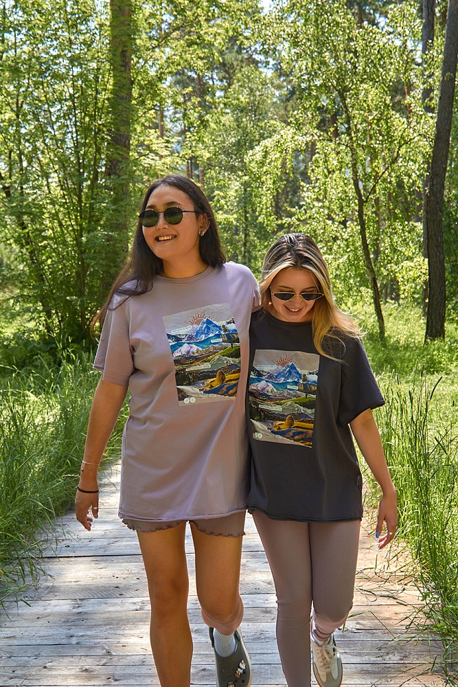 Футболка оверсайз удлиненная Park Пудра/Цветные горы_16533