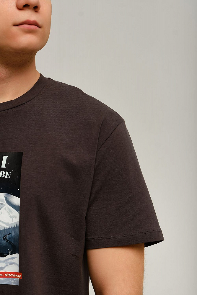 Футболка мужская с принтом David Графит/Altai Winter_12468